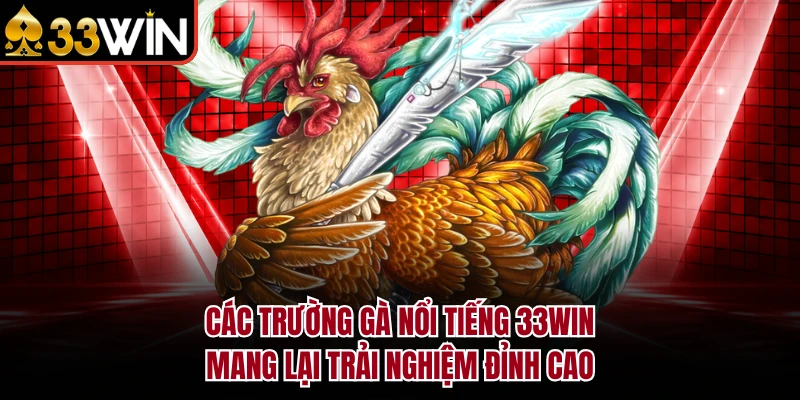 Các Trường Gà Nổi Tiếng 33WIN Mang Lại Trải Nghiệm Đỉnh Cao 6 Các Trường Gà Nổi Tiếng 33WIN Mang Lại Trải Nghiệm Đỉnh Cao