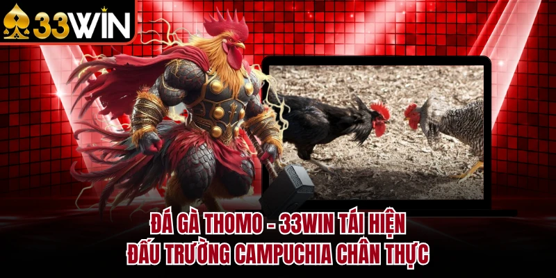 Đá Gà Thomo - 33WIN Tái Hiện Đấu Trường Campuchia Chân Thực 1 Đá Gà Thomo - 33WIN Tái Hiện Đấu Trường Campuchia Chân Thực