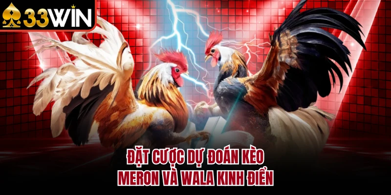 Đá Gà 88 - Trường Đấu Chuyên Nghiệp, Hấp Dẫn Tại 33WIN 4 Đặt cược dự đoán kèo Meron và Wala kinh điển