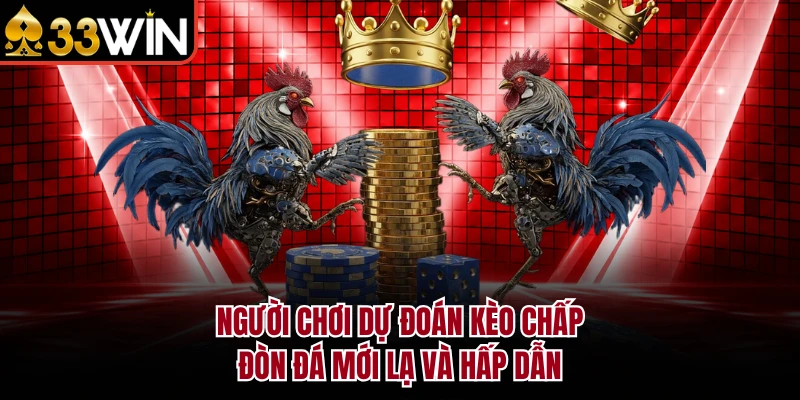 Đá Gà 88 - Trường Đấu Chuyên Nghiệp, Hấp Dẫn Tại 33WIN 3 Người chơi dự đoán kèo chấp đòn đá mới lạ và hấp dẫn