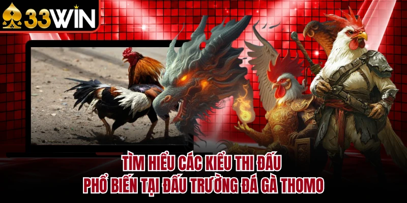 Đá Gà Thomo - 33WIN Tái Hiện Đấu Trường Campuchia Chân Thực 3 Tìm hiểu các kiểu thi đấu phổ biến tại đấu trường đá gà Thomo